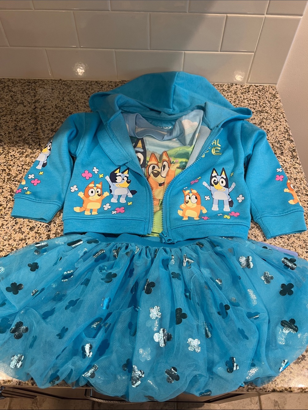 Bluey Inspired Kids Matching Set - Blue Hoodie & Tulle Skirt